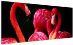 Mivali Tablou cu flamengo roșii, dintr-o bucată 120x50 cm (V021117V12050)