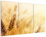 Mivali Tablou- detaliu cu, din trei bucăți 120x80 cm (V020511V120803PCS)