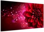 Mivali Tablou cu floare roșie, dintr-o bucată 120x70 cm (V020807V12070)