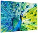 Mivali Tablou pe sticlă - Păun, dintr-o bucată 70x50 cm pe sticlă (V022979V7050GD)