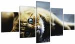 Mivali Tablou cu pisica, din cinci bucăți 125x70 cm (V020963V12570)