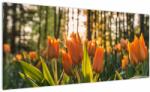 Mivali Tablou - lalele potocalii, dintr-o bucată 100x40 cm (V020552V10040)