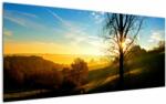 Mivali Tablou cu răsăsrit de soare, dintr-o bucată 120x50 cm (V020260V12050)