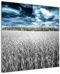 Mivali Tablou cu câmp, dintr-o bucată 70x70 cm (V022278V7070)