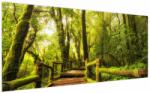 Mivali Tablou junglei cu mușchi, dintr-o bucată 200x100 cm (V022161V200100)