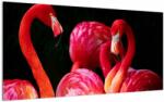 Mivali Tablou pe sticlă cu flamengo roșii, dintr-o bucată 100x50 cm pe sticlă (V021117V10050GD)