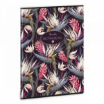 Ars Una Bromelia A4 sima kapcsos 40 lap (53803276)