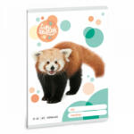 Ars Una Vörös Panda A/5 vonalas 32 lap (53623096)