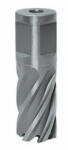 Optimum Carota cu prindere weldon Optimum 12 mm (38720.125512)