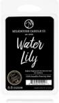 Milkhouse Candle Co Milkhouse Candle Co. Creamery Water Lily ceară pentru aromatizator 155 g