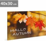 Family LED-es fali hangulatkép - "Hello ősz" - 2 x AA, 40 x 30 cm Family 58502 (58502) - globalsales