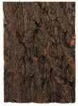  REPTI PLANET Fundal pentru terariu - scoarță 19 x 27, 3 cm