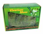  LUCKY REPTILE Muşchi pentru terariu Vivarium Moss - 150 g