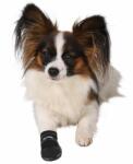 TRIXIE Pantofi pentru câini Walker, anti-derapare - M / 2 bucăți