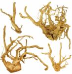  ABC-ZOO Cuckoo Root "PREMIUM" rădăcină pentru acvariu, 30 - 60 cm