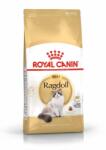 Royal Canin Ragdoll Adult 2x10kg -3%