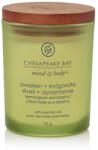 Chesapeake Bay Awaken + Invigorate lumânări parfumate 96 g