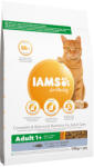 Iams 2x10kg IAMS Advanced Nutrition Adult Cat tonhal száraz macskatáp