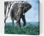  Festés számok szerint - Elefánt természetben Méret: 50x50cm, Keretezés: Fatáblával