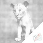  PontPöttyöző - Kis Simba Méret: 50x50cm, Keretezés: Kartonlemezen, Szín: Piros