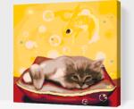  Festés számok szerint - Álmodozó kiscica Méret: 50x50cm, Keretezés: Kartonlemezen