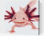  Festés számok szerint - Axolotl 3 Méret: 50x50cm, Keretezés: Kartonlemezen