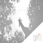  PontPöttyöző - Zsiráf a holdfényben Méret: 50x50cm, Keretezés: Kartonlemezen, Szín: Fekete