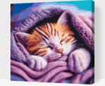  Festés számok szerint - Cica a takaró alatt Méret: 50x50cm, Keretezés: Kartonlemezen