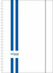 Dayliner Naptár, tervező, A5, heti, DAYLINER, InSpiral, kék-fehér (NSA5HKF) (DL4AG-ISFA5HE-GTKF)
