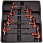 HARDEN Modul A pentru Scule - 8 Piese, Surubelnite cu Maner T, Torx, Profesional, Harden (ZH520657) Surubelnita