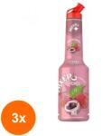 Mixer Set 3 x Pulpa Lychee Concentrat Piure Fructe, Mixer, 1 l