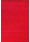 Delta Carpet Covor Dreptunghiular, 80 x 150 cm, Rosu, Kolibri 11000/120 (KOLIBRI-11000-120-0815) Covor