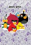 Herlitz A4 Angry Birds hangjegyfüzet (vegyes minta), A4/86-32 (Pi_2018_311-2662)