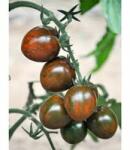 YUKSEL Seminte de tomate BROWN CHERRY (172-857) F1, 250 seminte, YUKSEL (HCTG01773)