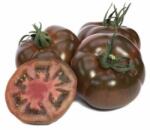 YUKSEL Seminte de tomate BIG SACHER F1, 250 seminte, YUKSEL (HCTG01760)
