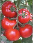 YUKSEL Seminte de tomate GONUL F1, 1000 seminte, YUKSEL (HCTG01753)
