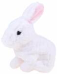 Jokomisiada Hopping Interactive Rabbit Toy (ZA3452) (ZA3452)