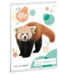 Ars Una Vörös panda A5 négyzetrácsos 32 lap 27-32 (53633095)