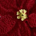 Handmade Horgolt mikulásvirág, Kézzel készített, fenyőfa hegy, Mercerizált (poinsettia/crosetata)