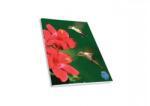 SKAG Тетрадка Wild Animals AR, спирала, 2 теми, 17 х 25 cm, 60 листа, колибри