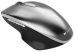CANYON MW-21 Grey (CAMSW21G) Mouse