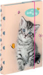 KARTON P+P My little kitty A4 (3-74023)