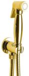 SAPHO Reitano 9105
