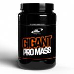 Pro Nutrition Gigant Pro Mass cu Aroma de Capsuni 1470 g Pro Nutrition