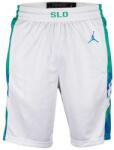 Jordan Sorturi Jordan Slovenia Limited Home Men's Shorts - Alb - 3XL