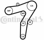 Continental Ctam Set curea de distributie CONTINENTAL CTAM CT1183K1 (CT1183K1) - automobilus
