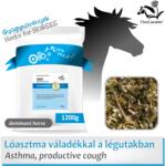Fitocavallo CORST (1200 g)