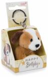 NICI Nici: Kutya plüss kulcstartó Happy Birthday feliratú dobozban - 6 cm (48132) - jatekbolt