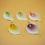  Habkála fej - kicsi