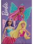 Barbie polár takaró 100x140cm (AYM071757)